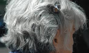 In addition while there is no scientific evidence that any herb, supplement or product can reverse grey hair or stop grey hair forming, some nutritional deficiencies can cause conditions that result in premature gray hair. Stress As A Cause Of Premature Graying Of Hair Biotechniques