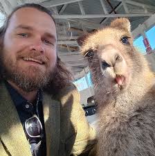 Hi folks, just wondering if I could ask for some advice. For the past few  months, when the truck is in drive and I'm stopped or driving really  slowly, the engine seems