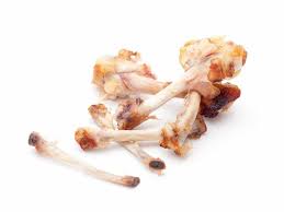 Raw meat is a breeding ground for bacteria. Can Cats Eat Chicken Bones Waldo S Friends