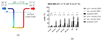 Graphing lines & killing zombies ws. Cancers Free Full Text Differences Of The Immune Phenotype Of Breast Cancer Cells After Ex Vivo Hyperthermia By Warm Water Or Microwave Radiation In A Closed Loop System Alone Or In Combination With