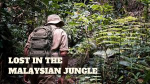 Experience crossing the calm waters in a traditional dug out canoe. Malaysian Jungle A Trek To Remember Youtube