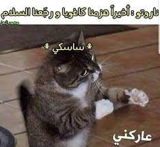 نكت انمي funny photo memes funny picture jokes anime memes funny