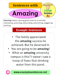 Sentences With Amazing Definition And Example Sentences Example Sentences Sentence Examples Sentences Definitions