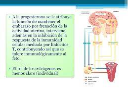 Cambios Fisiologicos En El Embarazo Ppt Video Online Descargar