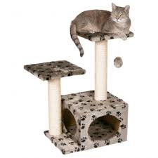Rabbithouses Kedi Evi Kedi Hayvanlar