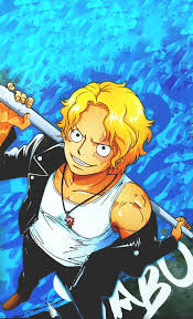 1312x2164 100 Sabo One Piece Koala One Piece One Piece Ace So what happened to sabo, we know sabo was fired up from the start of the reverie to rescue kuma. sabo one piece koala one piece