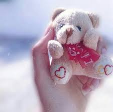 Cutipieanu Teddy Bear Wallpaper Teddy Girl Teddy Bear