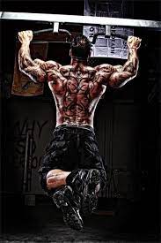 Rich Piana Back Workout Routine Bodybuilding Back Workout