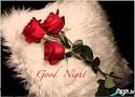 نتیجه تصویری برای اس ام اس شب بخیر عاشقانه جدید