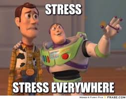 Image result for exam stress meme