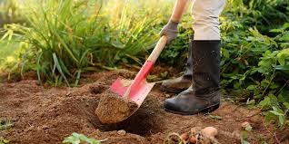 Watch the videos below for advice on how to properly use our professional grade products around your home, office, or structure. Ringworm Not A Worm Not Always A Ring Still A Big Problem Updated For 2021 Pests Org