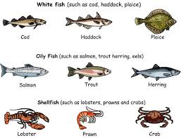 Meat Poultry And Seafood Vocabulary Eslbuzz Learning English Fish And Meat Vocabulary Seafood