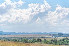 This is argentina's breadbasket of fertile land where thousands of cattle are raised each year by pampas gauchos, also known as cowboys. Pampas Argentina Stock Photos And Images 123rf