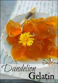 Sunshine Flavored Gelatin Recipe Dandelion Recipes Food Foraging Recipes