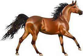 Brown Horse Png Image Download Horse Png Horses Beautiful Horse Pictures Horse Background