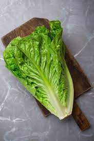 Maybe you would like to learn more about one of these? Types Of Lettuce Different Varieties Of Lettuce