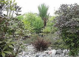 Native Plantings Nz Dry River Garden Nzlandscapes Com Landscape Design New Zealand Native Garden Native Garden Landscape Design