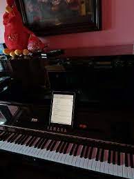 Is it better to abandon baby grand yamaha chs or move : Grand Baby Grand Yamaha Disklavier