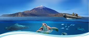 Resultado de imagen de tenerife
