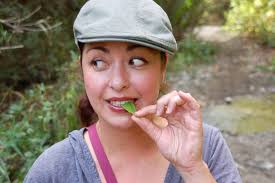 East Bay Pet Hospital review