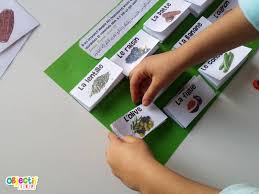 Les Fruits Et Legumes Dans Le Coran Dossier Complet Objectif Ief Coran Fruits Fruits Et Legumes
