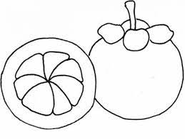 Gratis untuk komersial tidak perlu kredit bebas hak cipta. 19 Gambar Sketsa Buah Terlengkap Beserta Manfaatnya