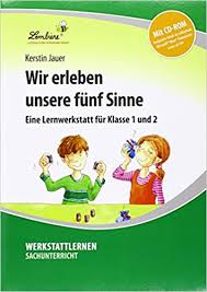 Wir Erleben Unsere Funf Sinne Grundschule Sachunterricht Klasse 1 2 Amazon De Jauer Kerstin Bucher