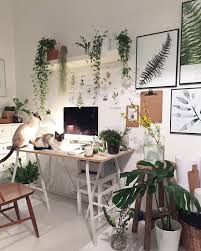 Decorating with plants not only adds pops of color to your decor, but serves to (literally) clear the air in your home. Home Decorating With Plants