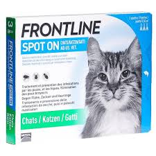 We did not find results for: Produits Anti Puces Et Tiques Traitement Pour Chien Et Chat Abilis Ch