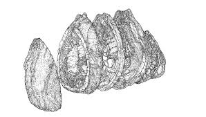 So here's a little something i did for as a little hurrah for a comic he's making. Artstation Xenomorph S Egg In Pieces Alexander Orobei