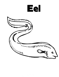 100% free coloring page of electric eel. Eel Coloring Page For Kids Color Luna Coloring Pages For Kids Coloring Pages Online Coloring
