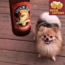 When A Dog Want To Drink Beer Cheers Beer Beers Beerporn Beerlove Beerlovers Beerstagram Instabeer Bier Be Drinking Beer Craft Beer Lovers Beer Lovers