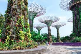 A melting pot of global culture, hanging out on can i travel to singapore right now? 5 Things To Know Before You Go To Singapore