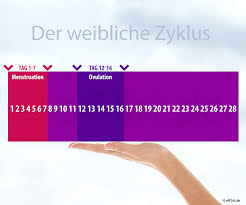 Eisprungrechner, wann einnistung und schwangerschaftstest, 1. Fruchtbare Tage Wann Kann Frau Eine Schwanger Werden Elflirt De