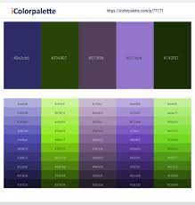 #966fd6 rgb(150,111,214) dark pastel purple. 22 Latest Color Schemes With Medium Purple And Dark Green Color Tone Combinations 2021 Icolorpalette