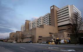 Burning ashes) ‹ ine games ›. Woman Dies After Getting Covid 19 From Transplanted Lungs The New York Times