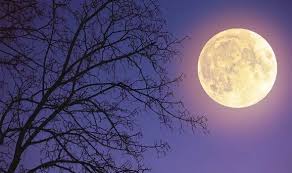 Supermoons make the moon appear a little brighter and closer than normal. Supermoon 2021 How To See The Fourth Biggest Full Moon Of The Year This Weekend Science News Express Co Uk