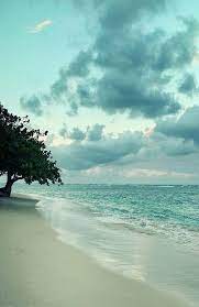 Account Suspended Scenery Ocean Beautiful Nature