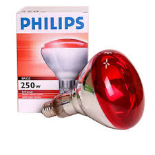 Philips Infrared Lamp 250w Br125 E26 E27 Light Heat Bulb Massage Skin Care 8711500575210 Ebay