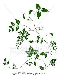 ✓ free for commercial use ✓ high quality images. Drawing Flower And Vine Pattern Clipart Drawing Gg54932540 Gograph