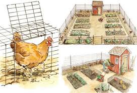 Huhner Im Garten Halten Einen Huhnertunnel Selber Bauen Huhner Im Garten Huhnerhaltung Im Garten Und Hinterhofhuhner