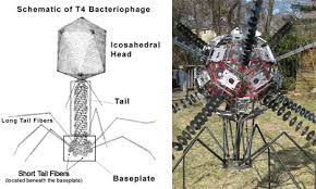 They work the same way the ancient trojan horse did: No Trojan Horse Art Viruses Made Of Computer Parts Gadgets Science Technology