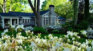 If your shrubs haven't been shaped for a while, they've probably grown long woody stalks with clusters of foliage at the tips. When And How To Prune Azaleas Redeem Your Ground Rygblog Com