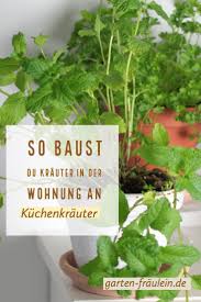 Glücklicherweise lässt sich aber ein kleiner kräutergarten auch prima in der wohnung einrichten, denn die meisten kräuter gedeihen problemlos im topf. Pin Auf Kuchen Krauter