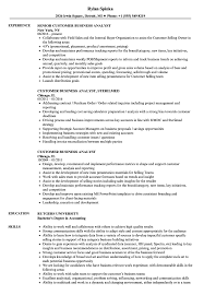 customer business analyst resume