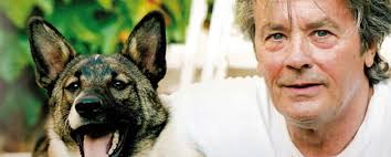 Les chiens, alain delon les aime ! Alain Delon Et Sa Maison De Douchy Est Un Paradis Pour Ses Chiens