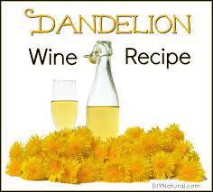 Dandelion Wine Recipe How To Make Dandelion Wine Vinegar At Home Recipe Dandelion Wine Wine Recipes Wine Making