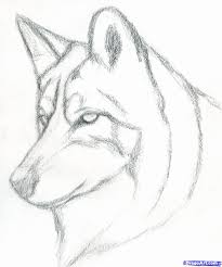 How To Draw Wolves The Step By Step Wolf Drawing Book Beautiful How To Draw A Realistic Wolf Real Step By In 2020 Wolf Drawing Easy Wolf Drawing Easy Drawings