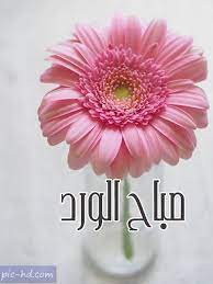 صور صباح الورد صباح الورد مكتوبة علي صور صباحية morning inspirational quotes good morning inspirational quotes morning flowers