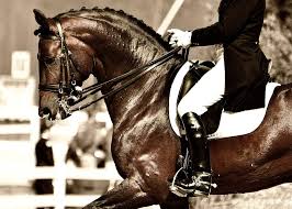 1024 x 768 jpeg 94 кб. Dressage Riding Strengthens Body And Mind Equestrian Empire